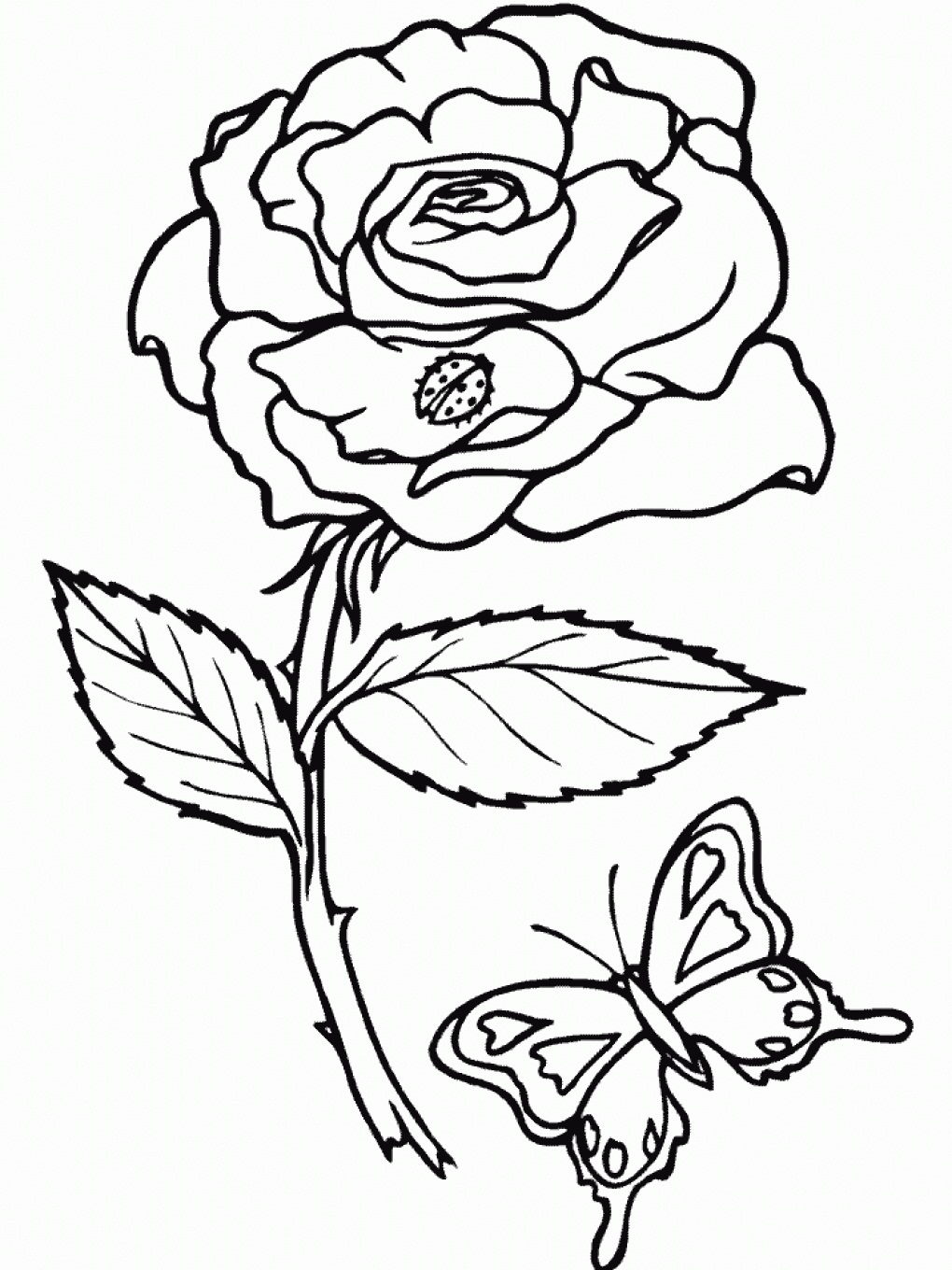 Printable Rose Printable Word Searches