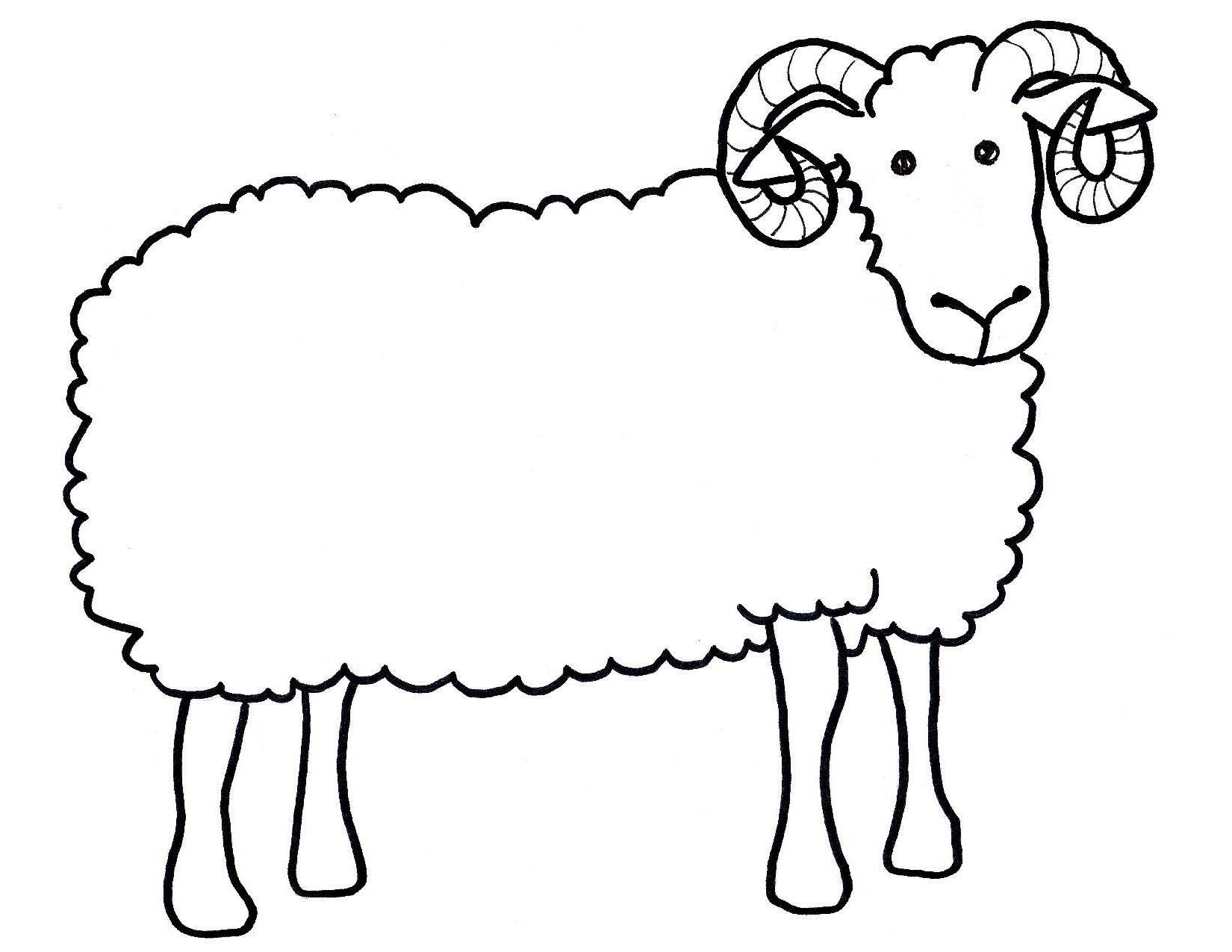 Printable Sheep Outline Template
