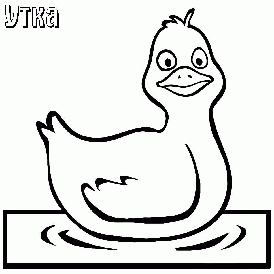 Printablecoloring Pages Ducks Coloring Pages Vrogue co