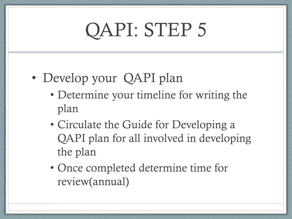 Qapi Action Plan Template