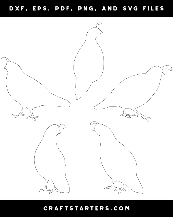 Quail Outline Patterns DFX EPS PDF PNG And SVG Cut Files