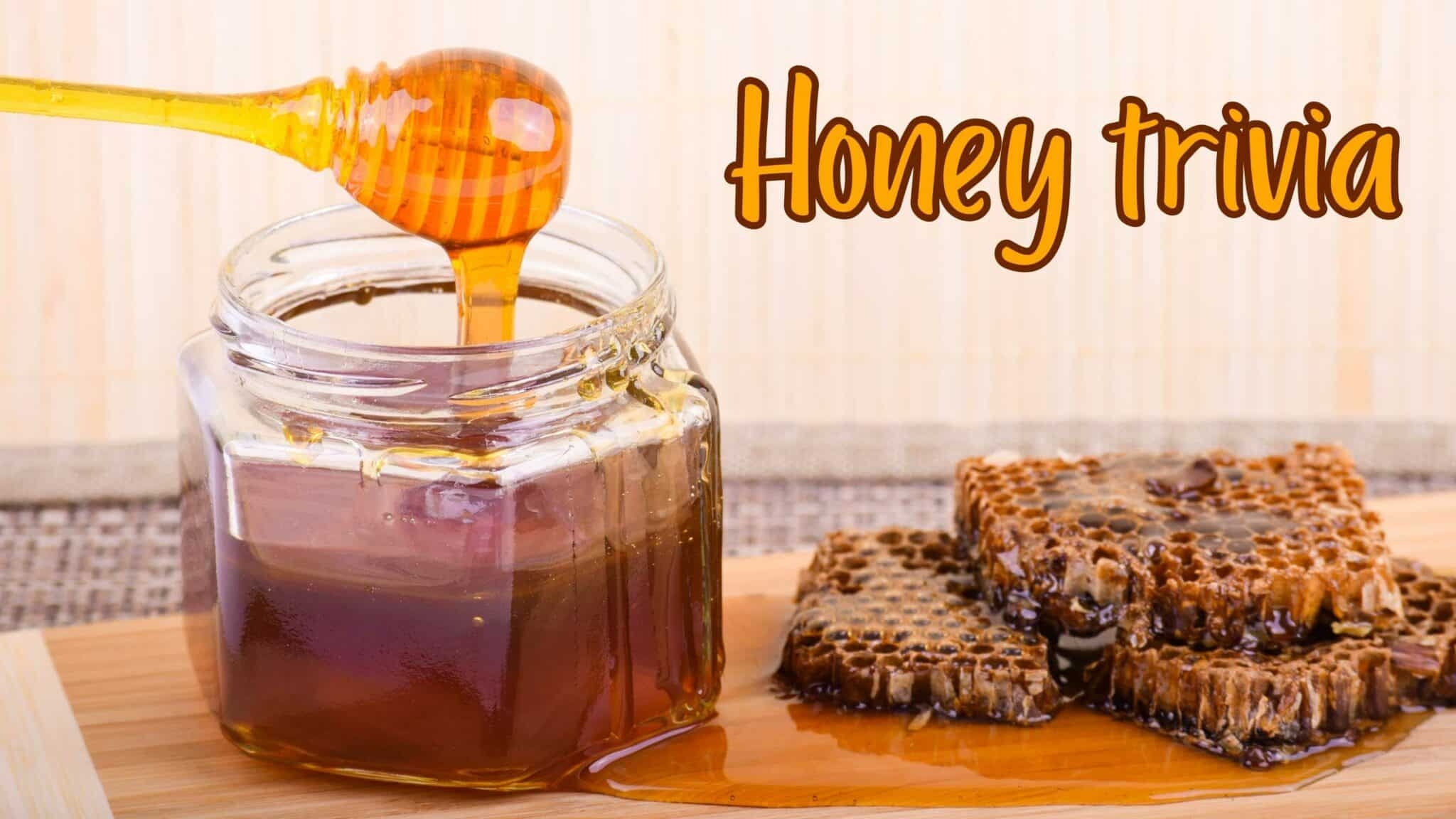 Quiz Buzz Your Way Through These 41 39 Honey 39 Trivia Questions Trivia 