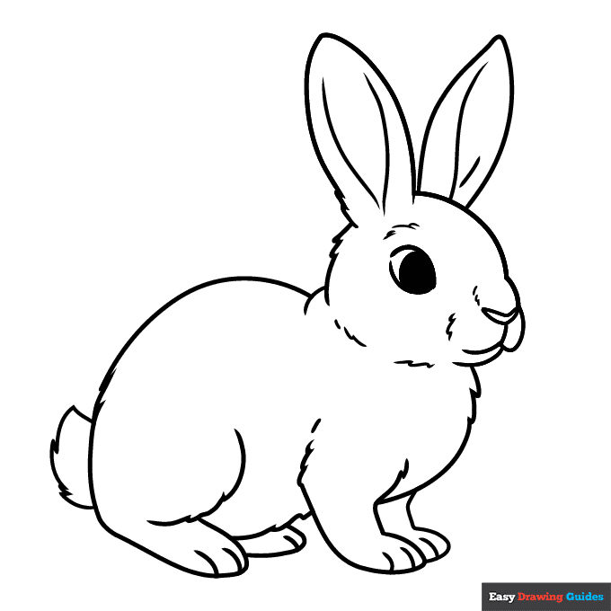 printable rabbit coloring pages