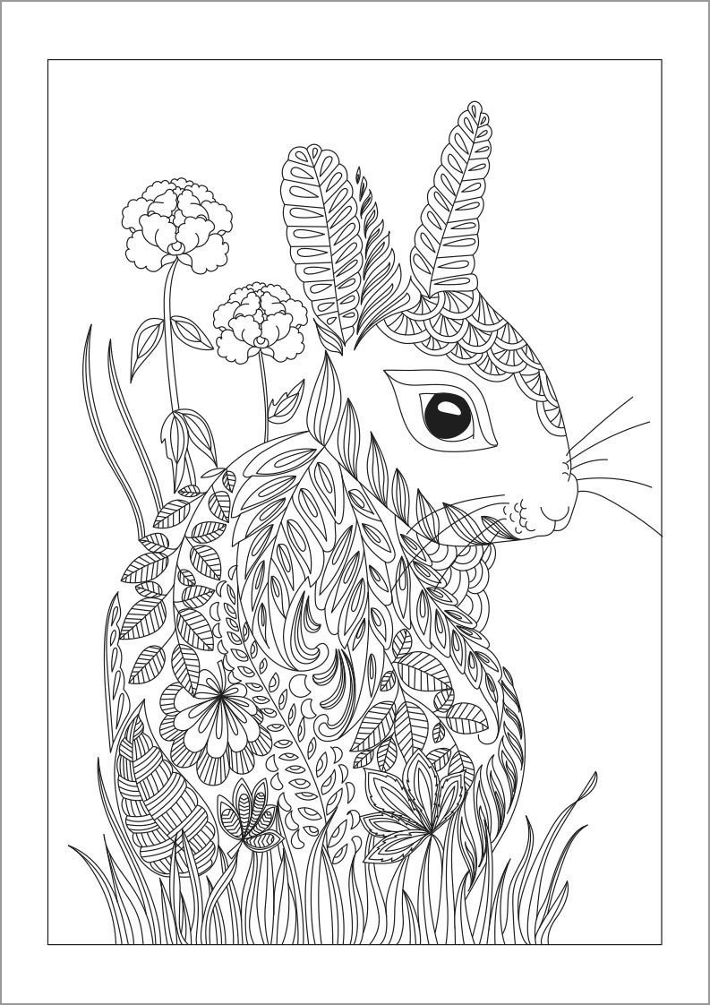 coloring page rabbit