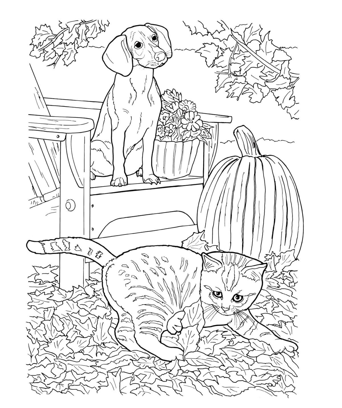 free printable coloring page dog