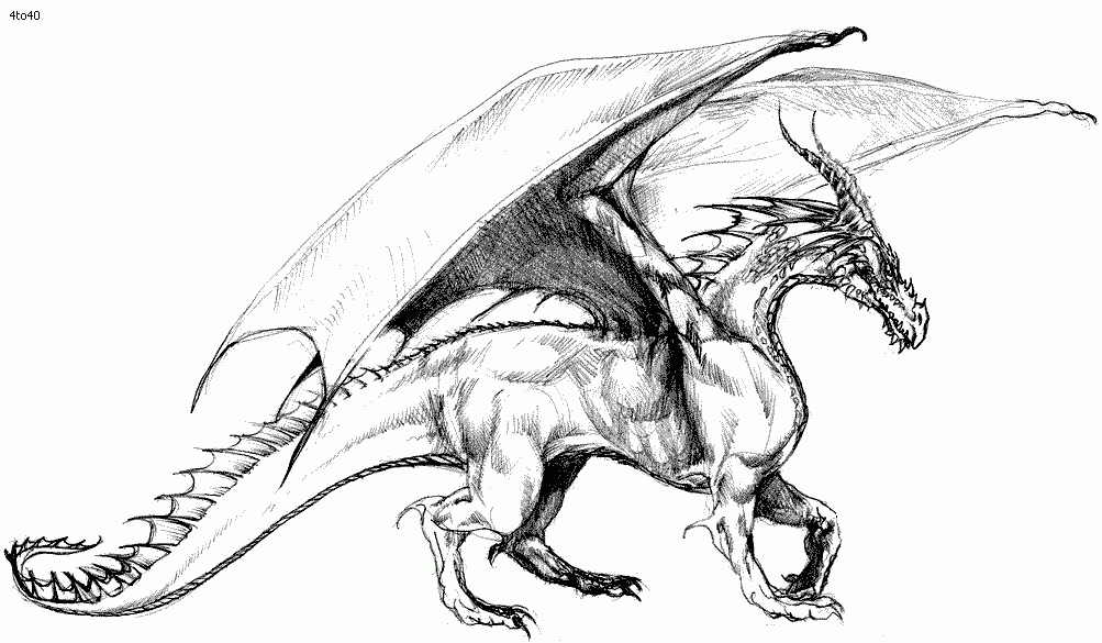 Realistic Dragon Coloring Pages For Adults Coloring Home