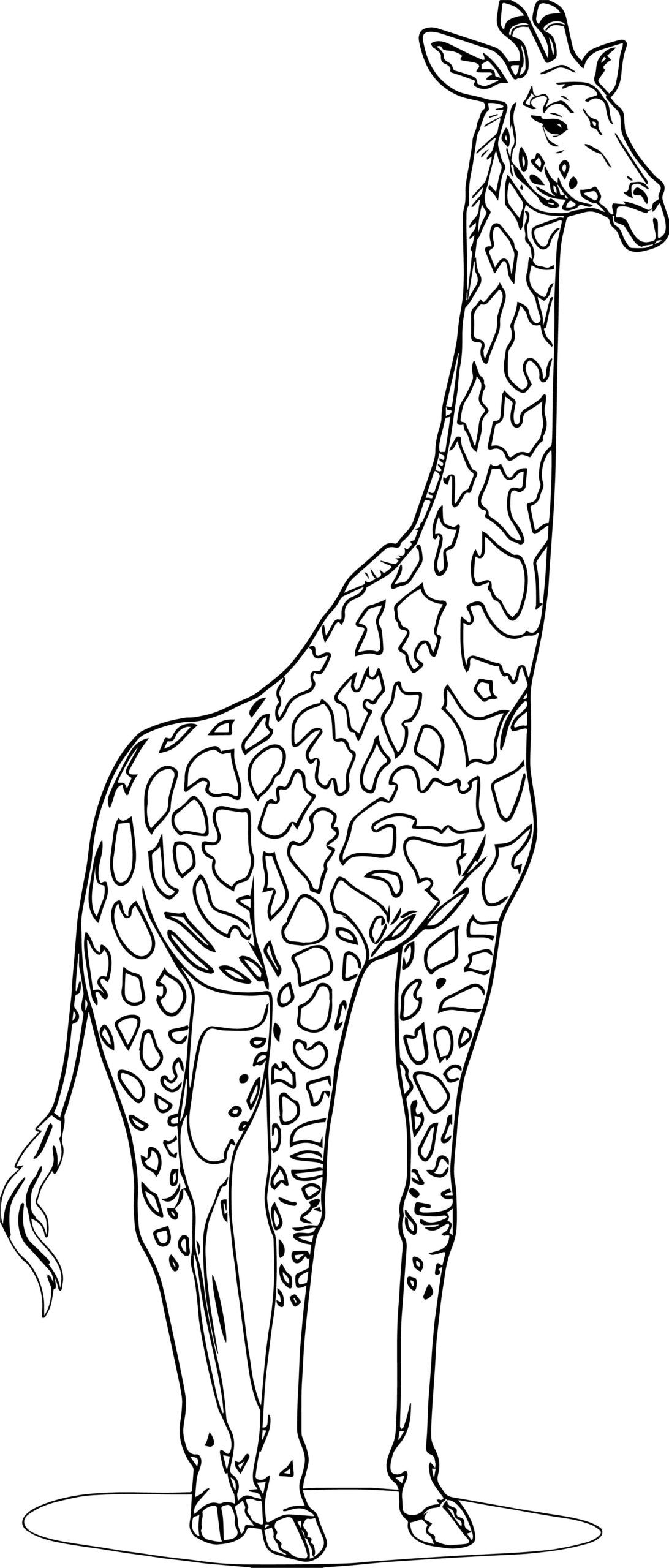 free printable realistic coloring pages