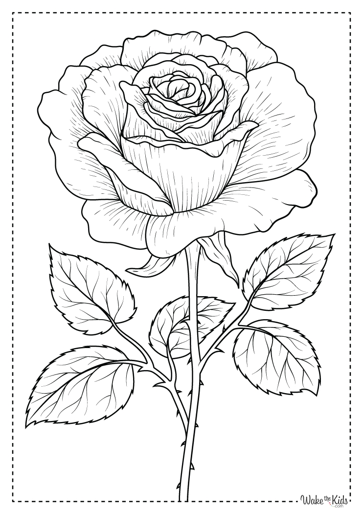 Rose Coloring Pages Free Printable PDFs WakeTheKids