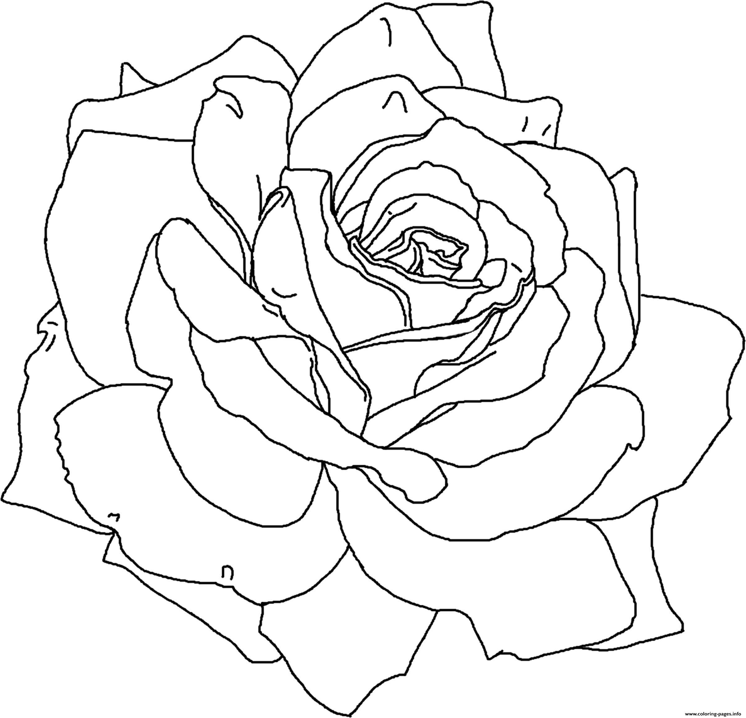 Rose Flower Cute Coloring Page Printable