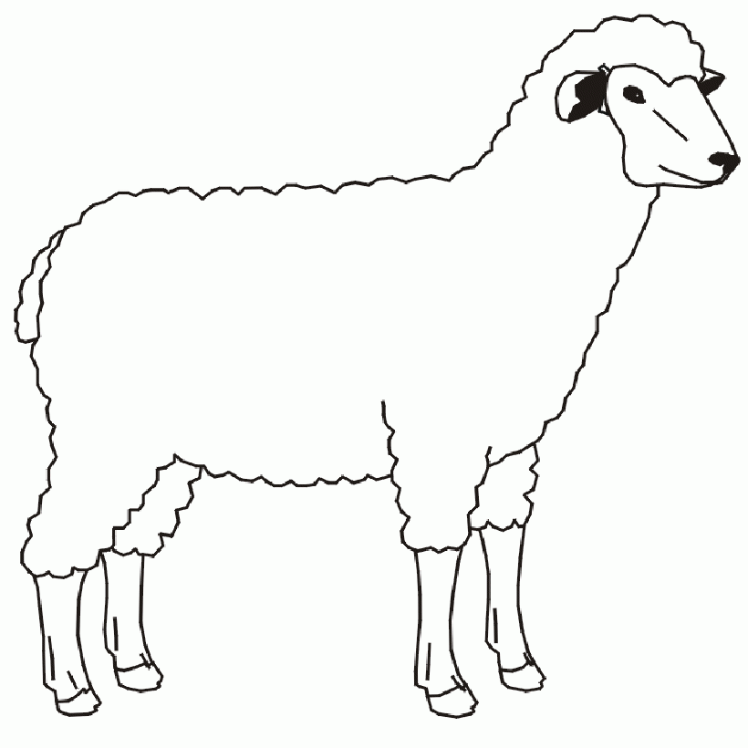 Sheep Outline Printable