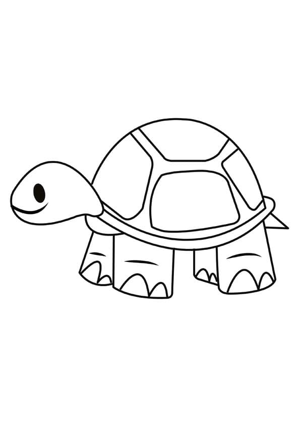 Simple Turtle Coloring Page Free Printable Coloring Pages For Kids