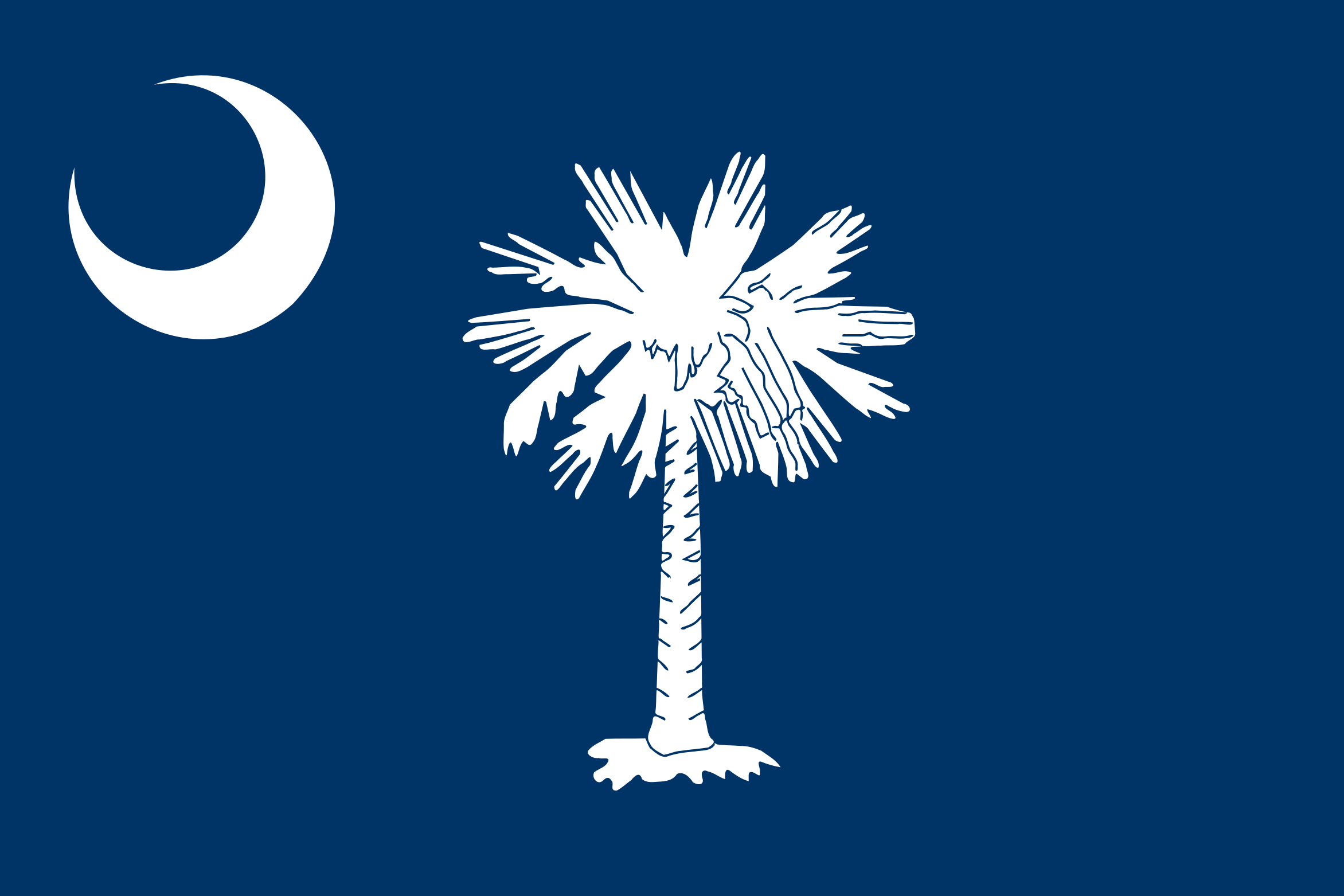 south carolina flag coloring page