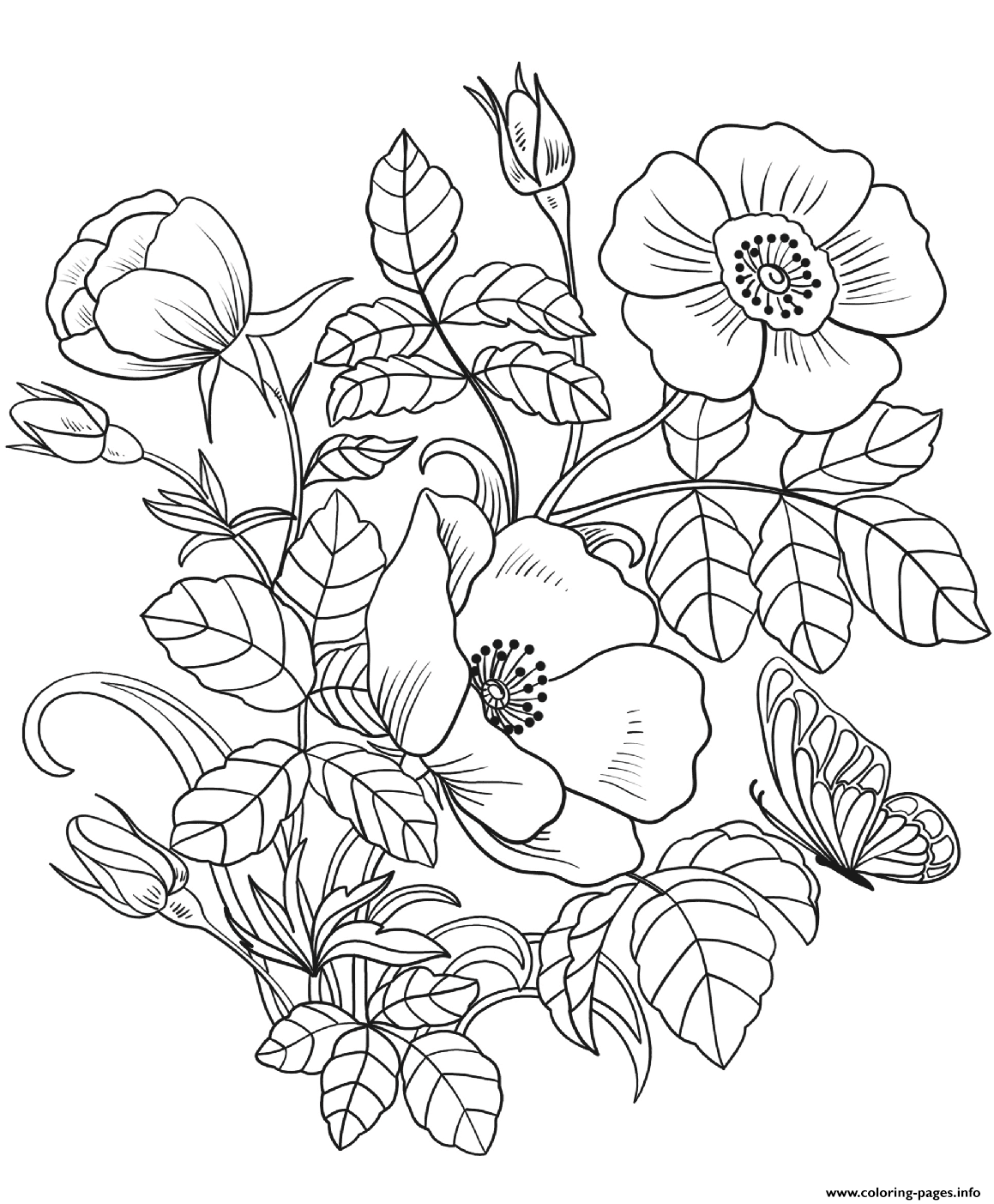 colouring sheets flowers printable free
