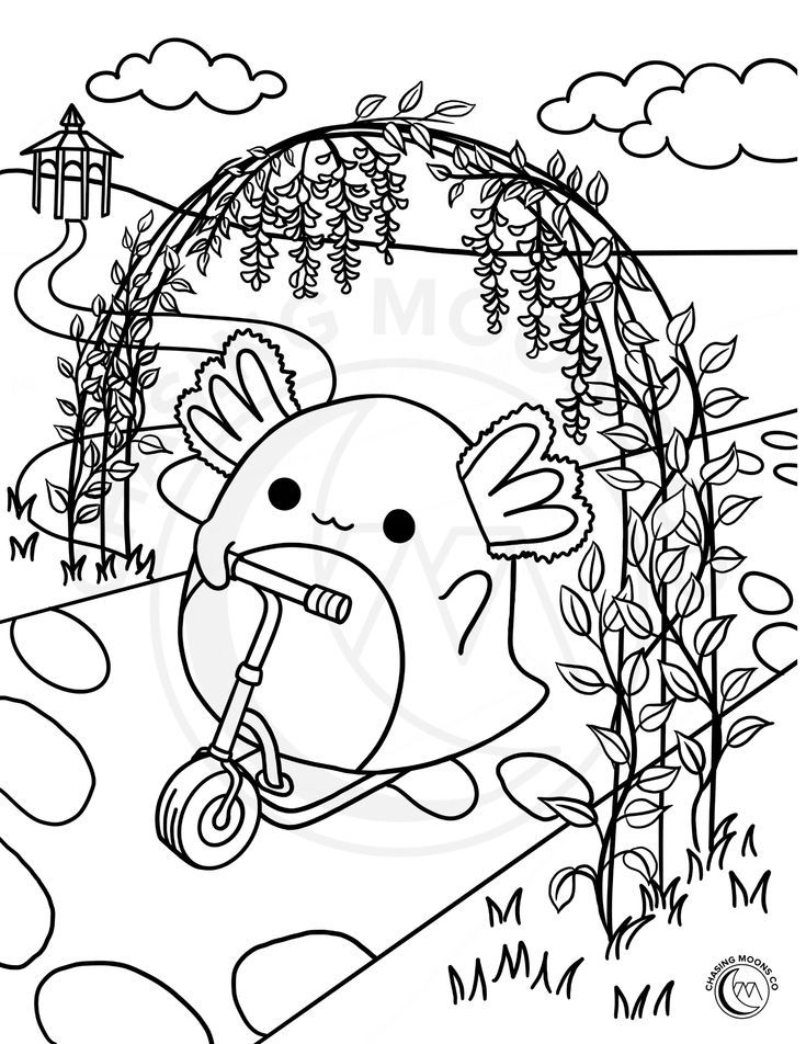 Squishmallow Coloring Page Coloring Page For Adults Kids Coloring 