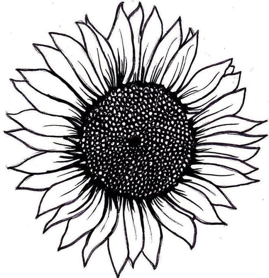 Sunflower Stencils Free Printable