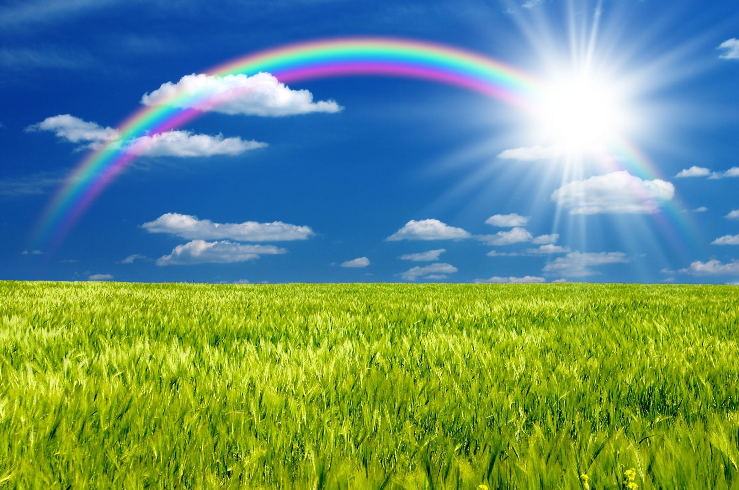 Sunshine Background Blank Template Imgflip