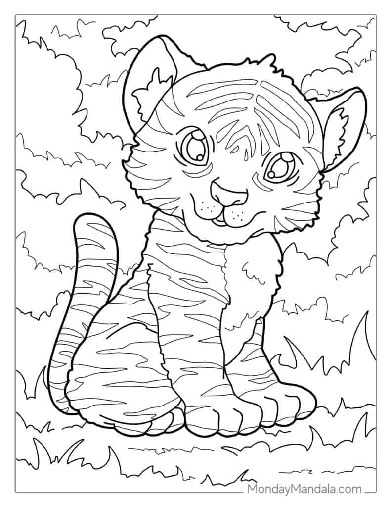 Tiger Cartoon Coloring Pages Pdf Infoupdate