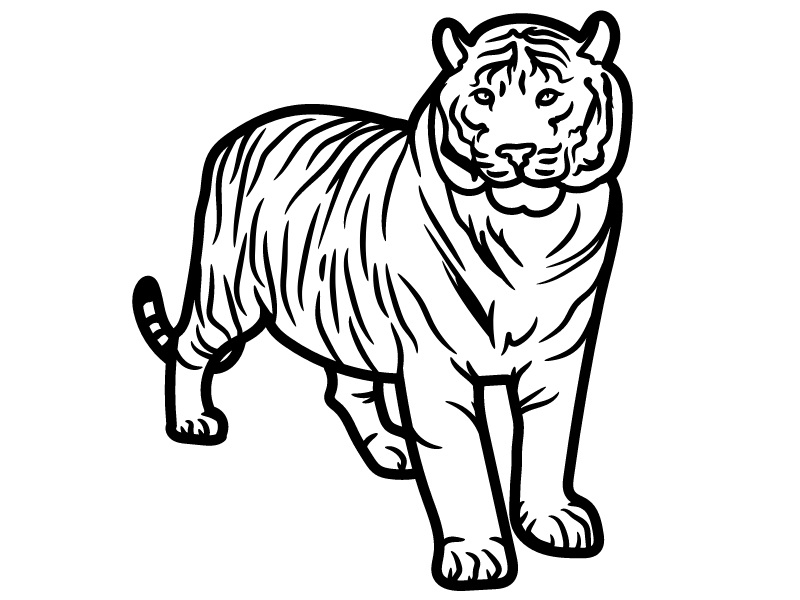 Tiger Colouring Images Coloring Page Of A Tiger Tigre Tribal Tribal 
