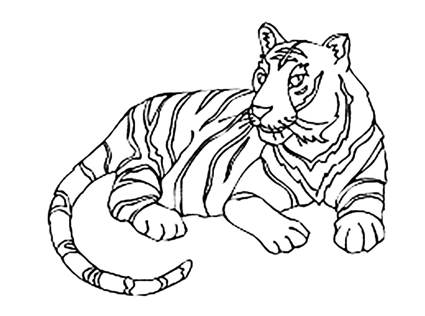 Tiger Colouring Pages For Kids