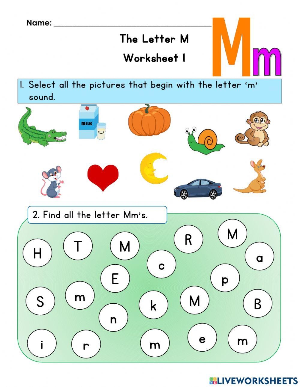 m and m worksheets