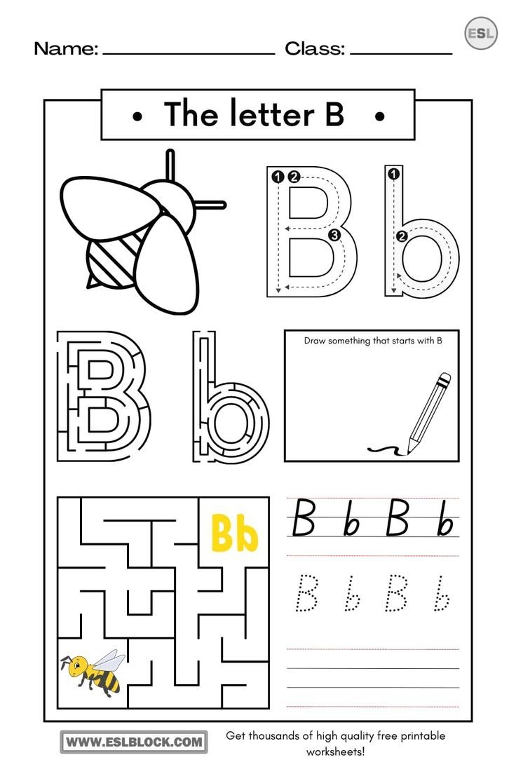 Tracing The Letter B Worksheets Letter B Worksheets Preschool 