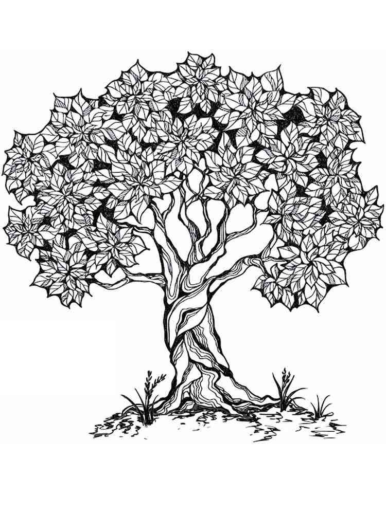 Tree Coloring Pages For Adults