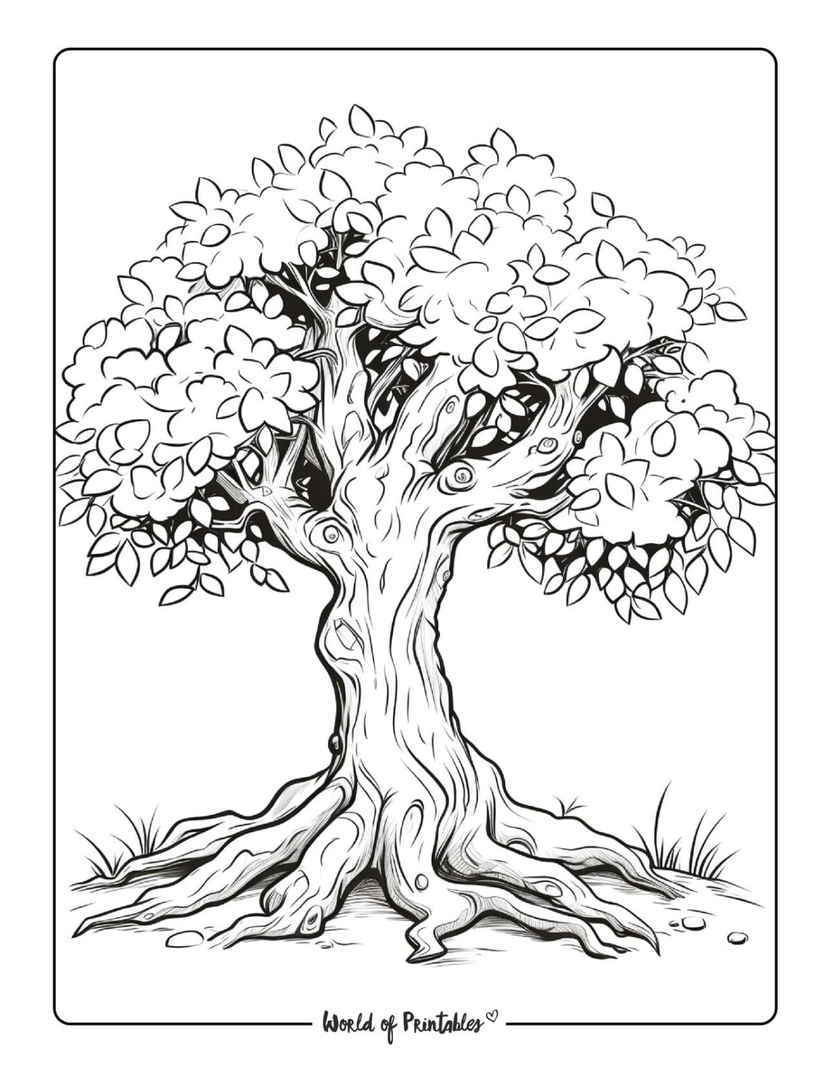 Tree Coloring Pages World Of Printables
