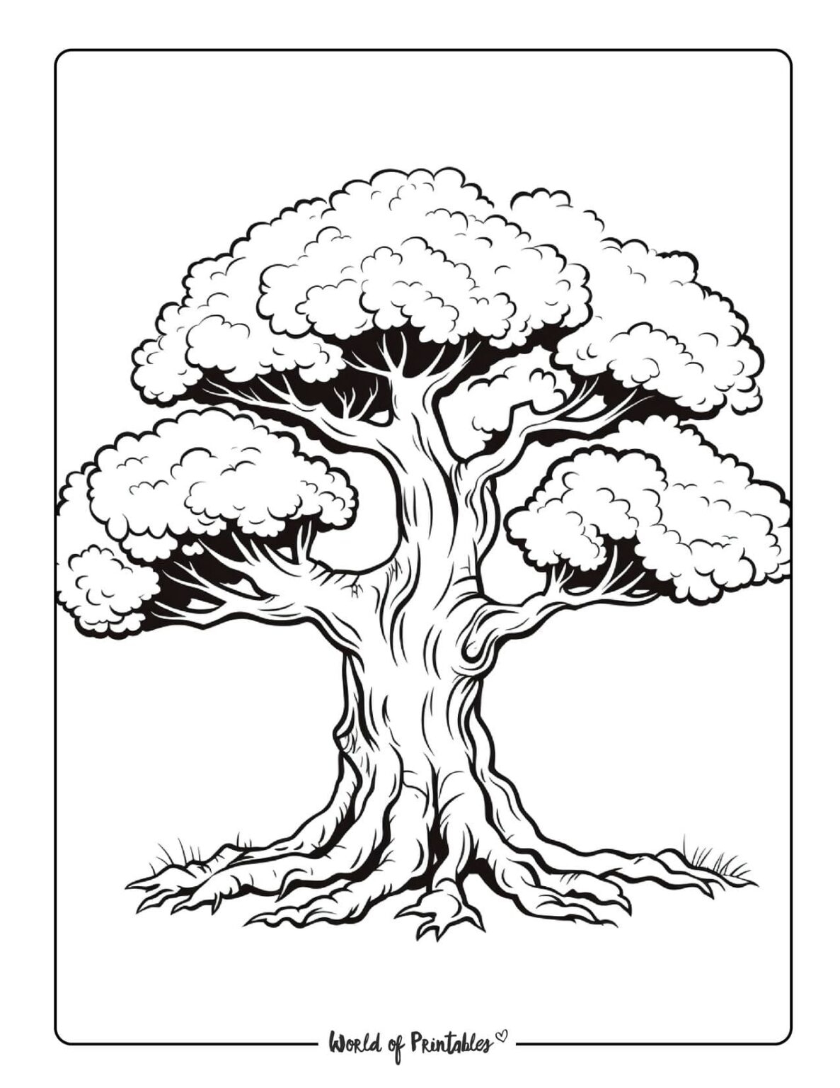 printable tree coloring sheets