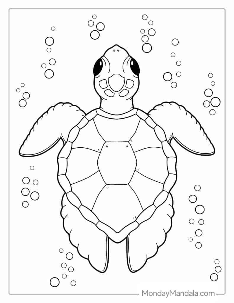 sea turtle coloring pages printable