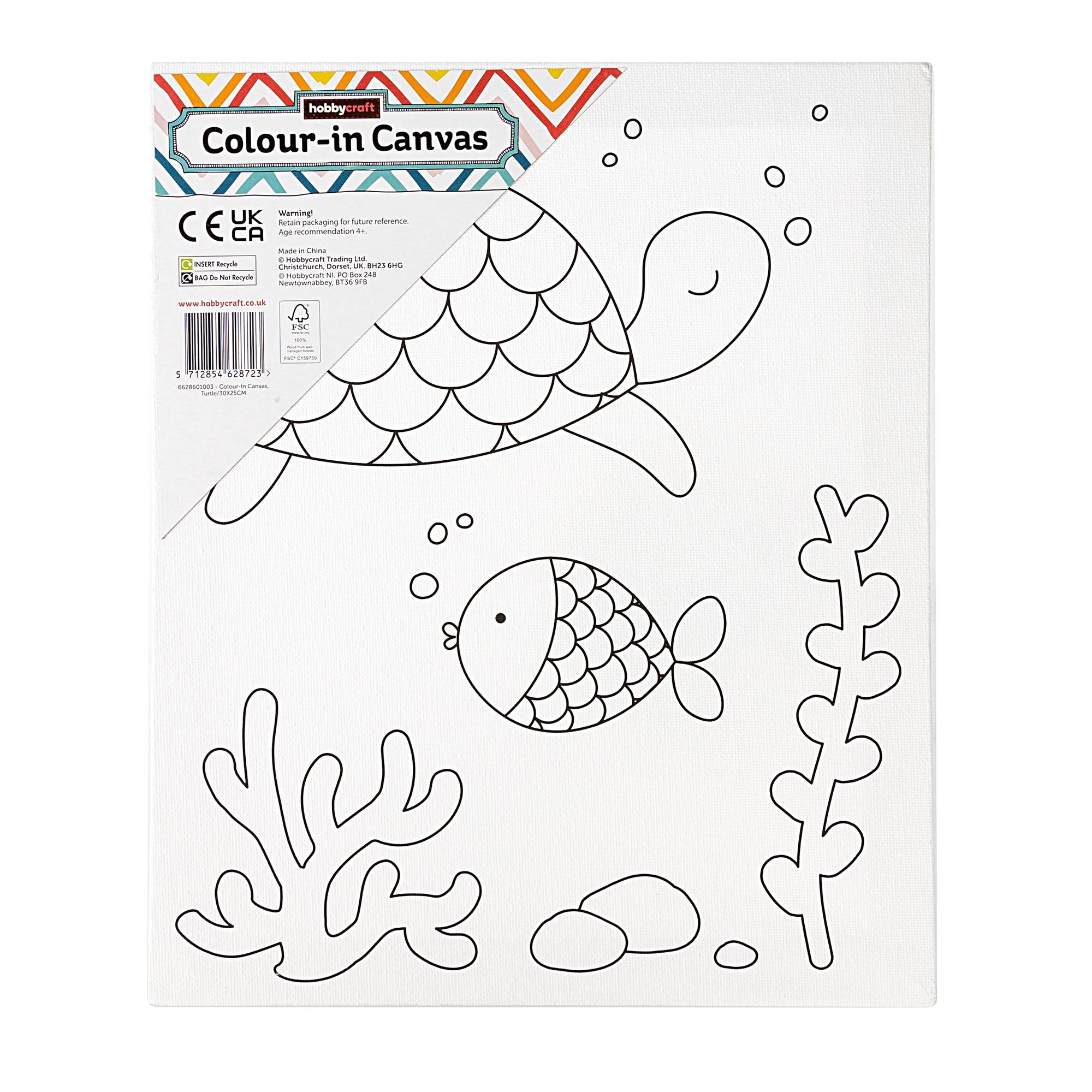 Turtle Colour in Canvas Hobbycraft