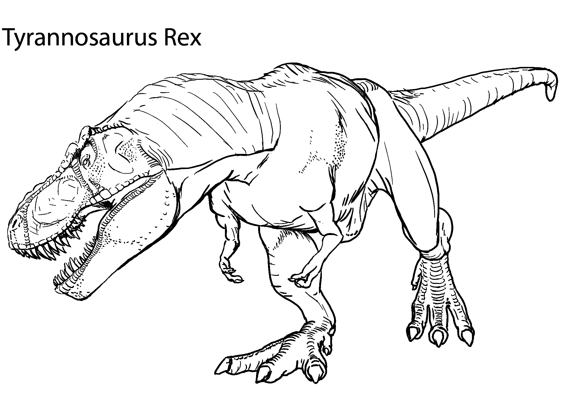 tyrannosaurus rex coloring page