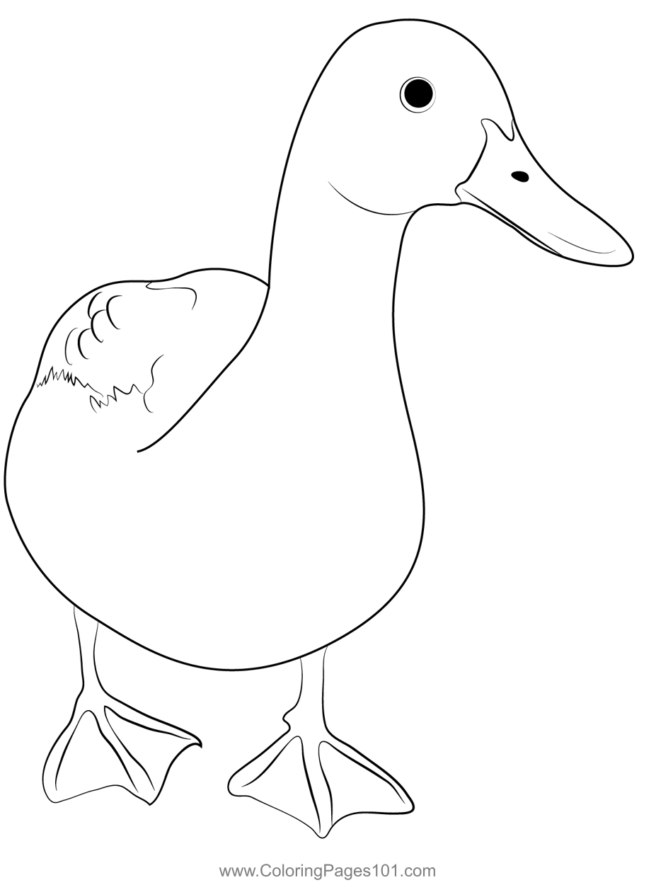 printable coloring pages ducks