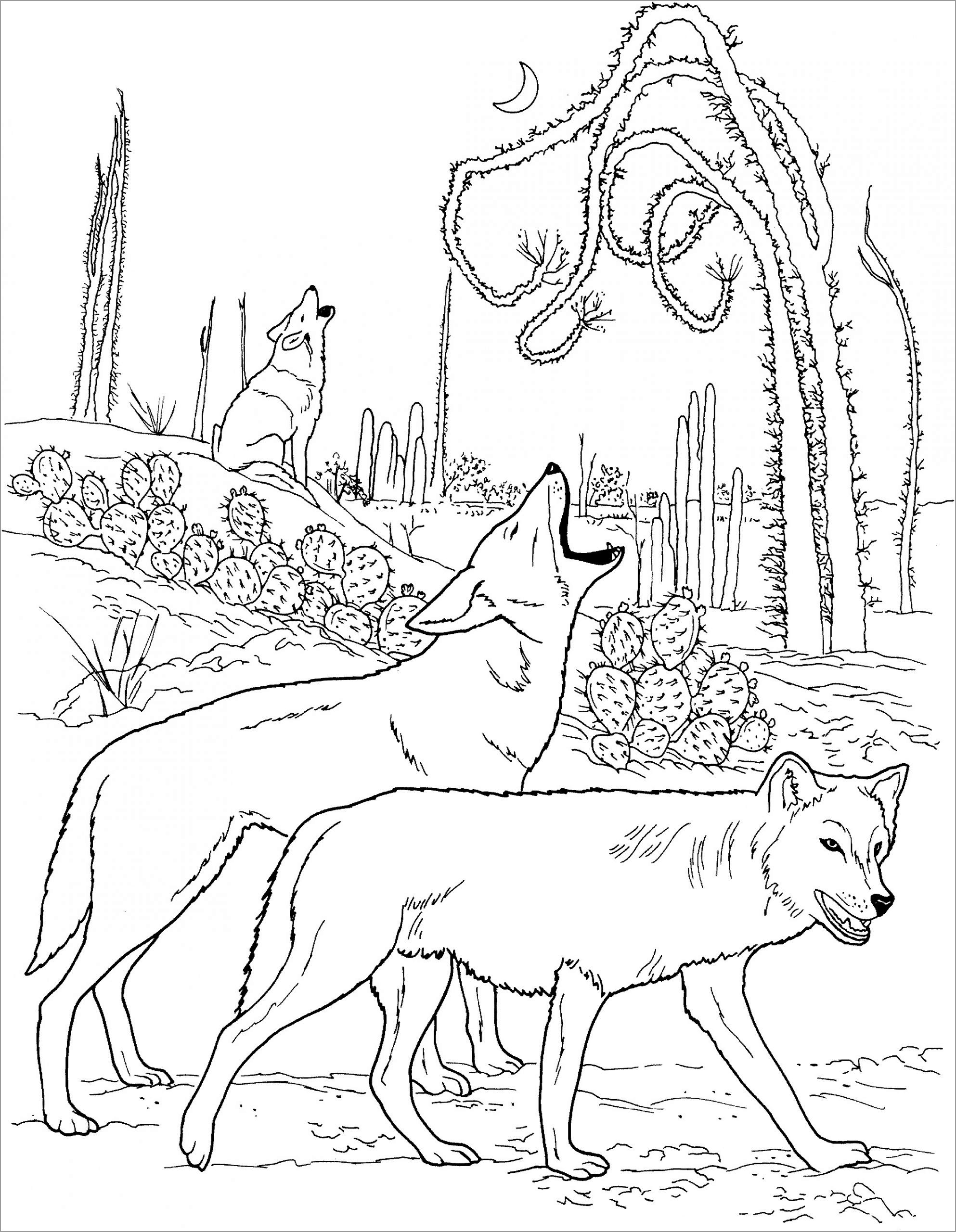 coloring page wolf